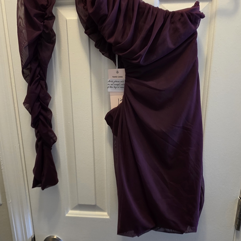 Oh Polly Plum Asymmetrical One-Shoulder Dress